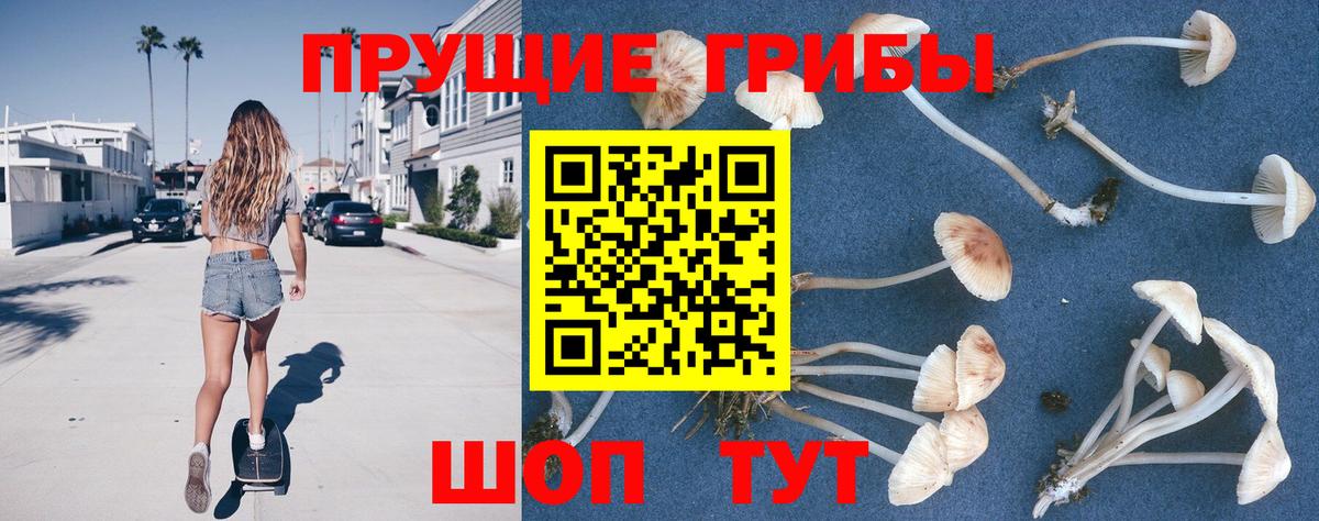 Галлюциногенные грибы GOLDEN TEACHER Тулун